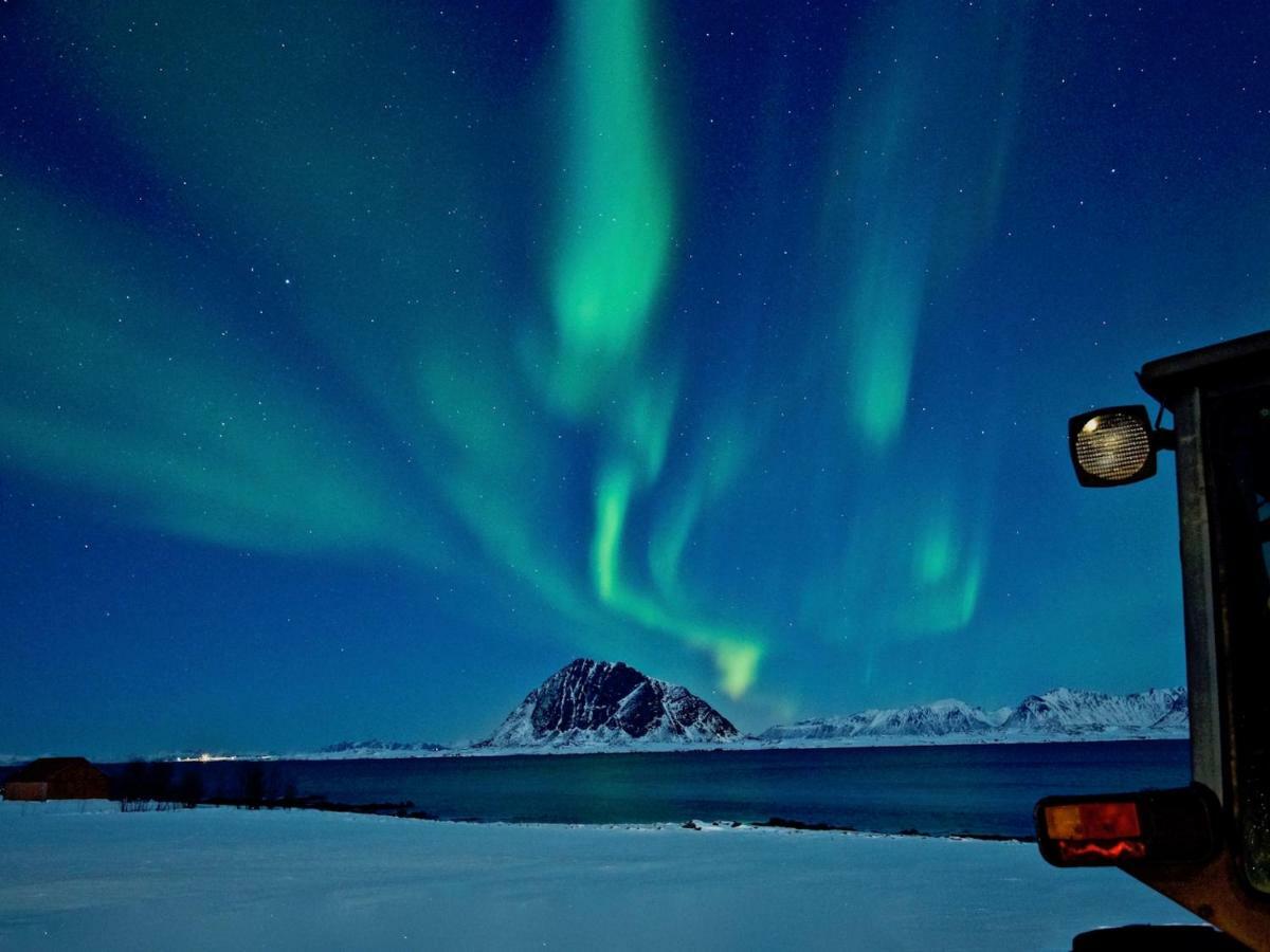 Elstad Farm Lofoten Bostad Εξωτερικό φωτογραφία