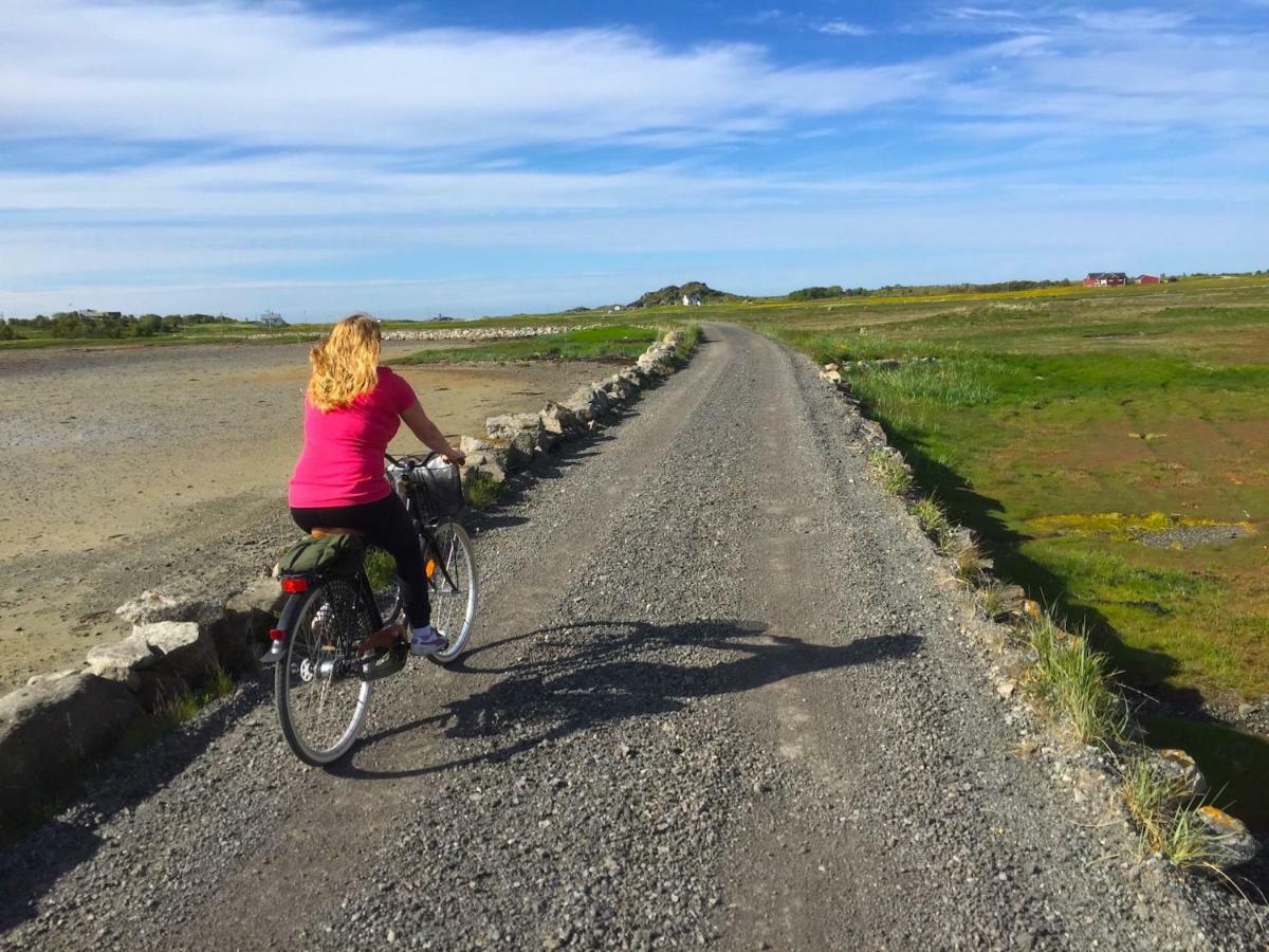 Elstad Farm Lofoten Bostad Εξωτερικό φωτογραφία